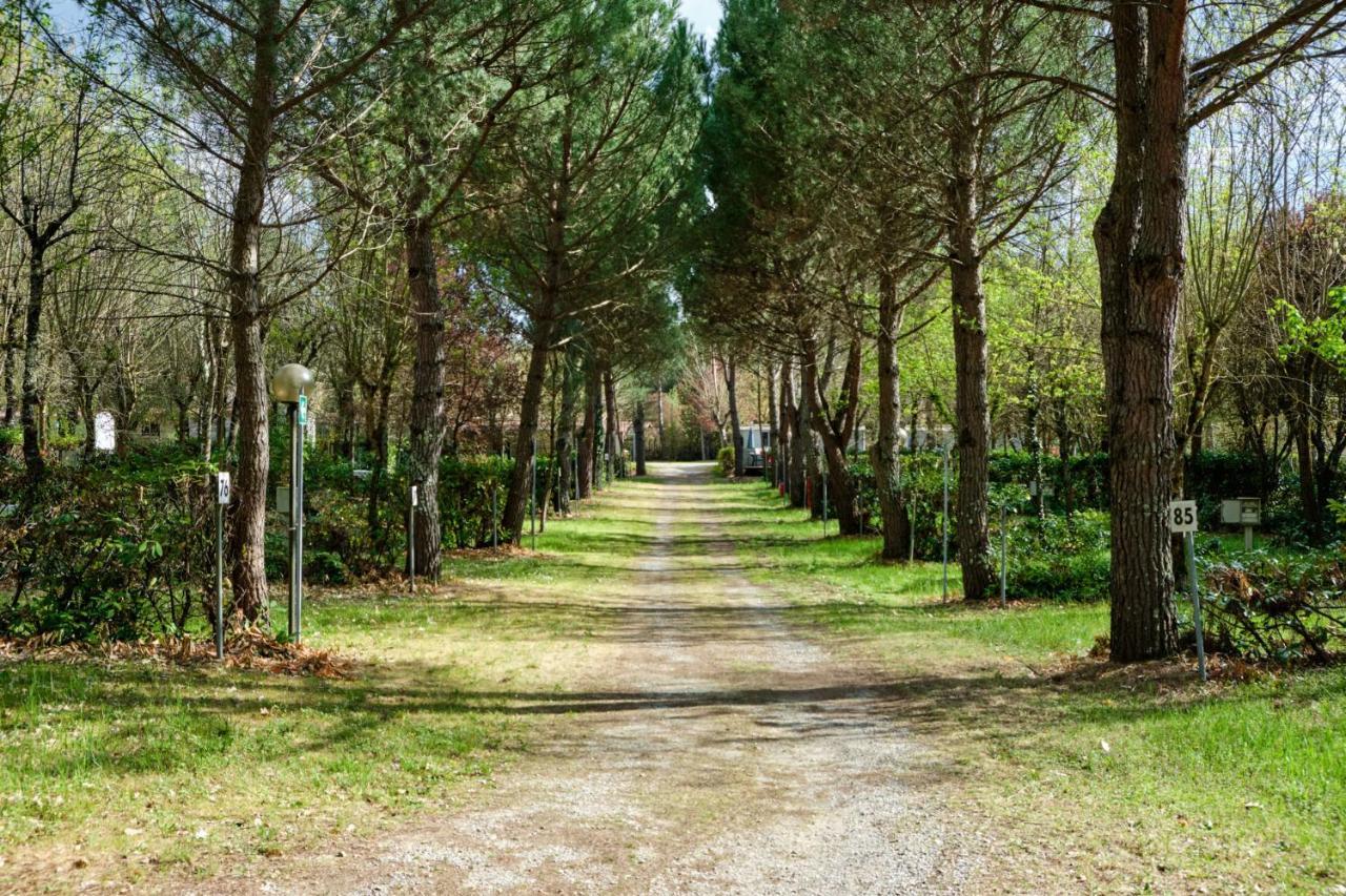 Camping La Chiocciola Hotel Capannole Esterno foto