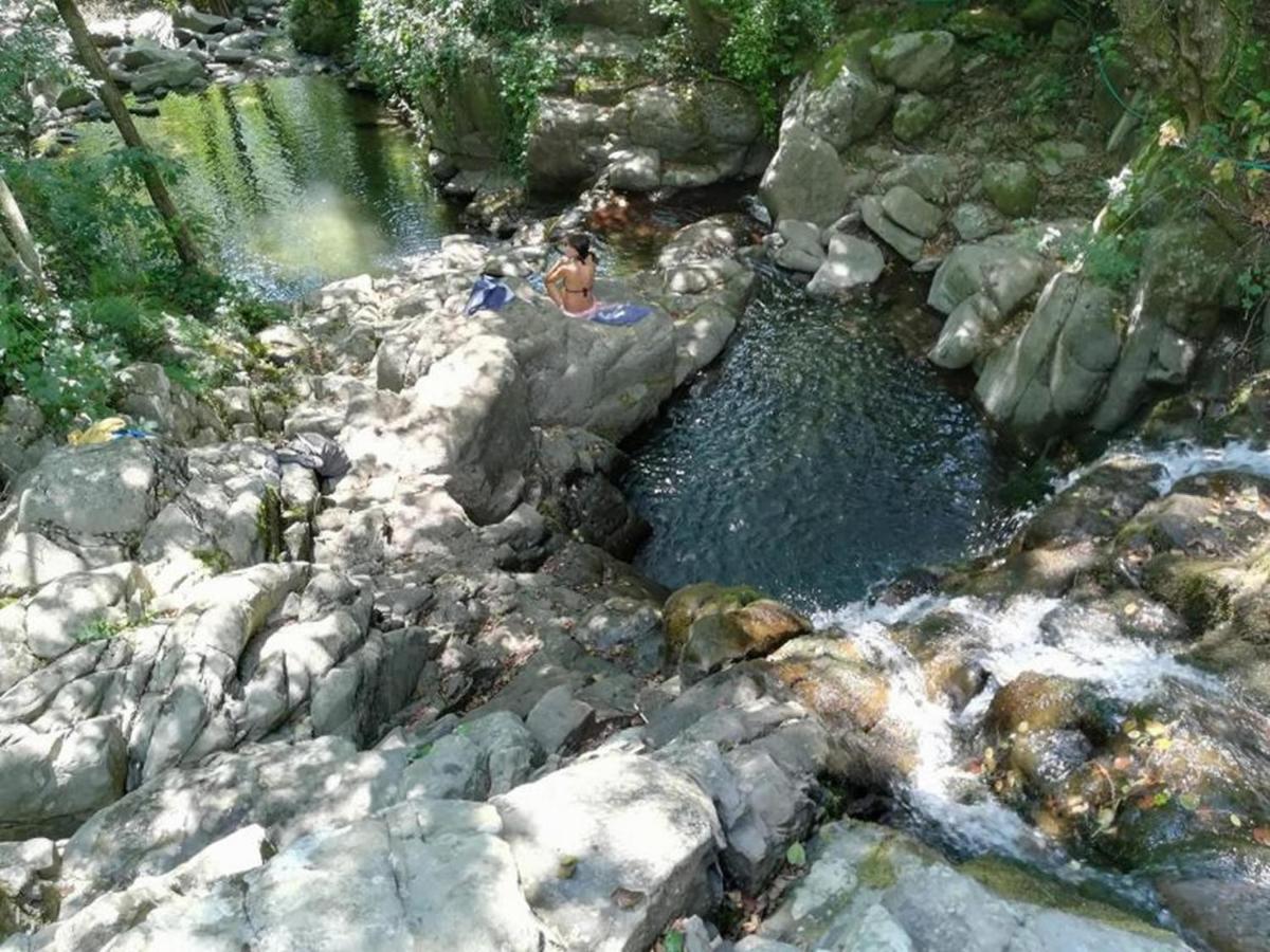 Camping La Chiocciola Hotel Capannole Esterno foto